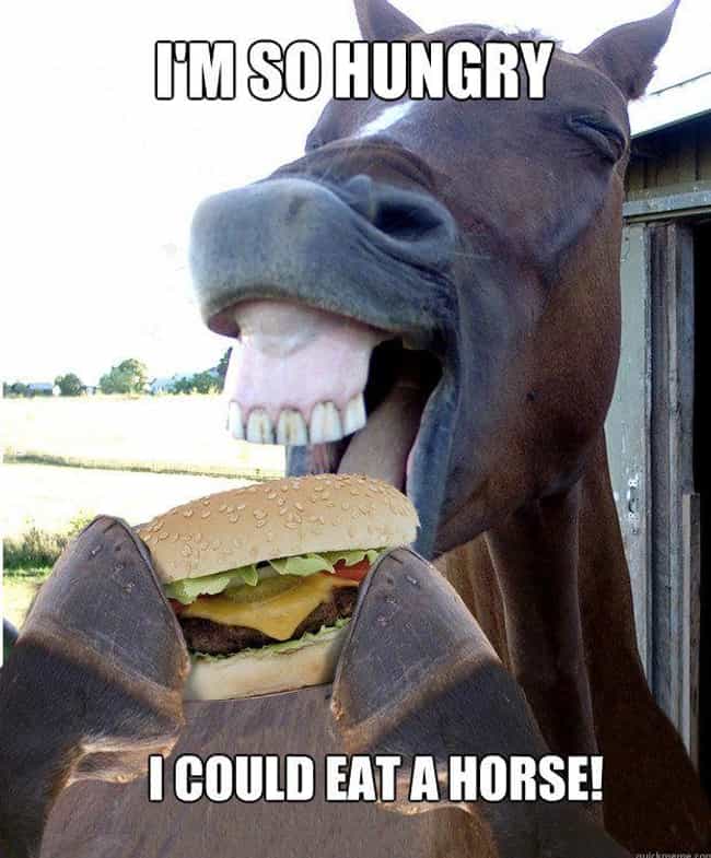 horse puns 17 funny horse memes that'll make you neigh m photo u1?w=650&q=50&fm=jpg&fit=crop&crop=faces horse puns 17 funny horse memes that'll make you neigh,Funny Barn Memes